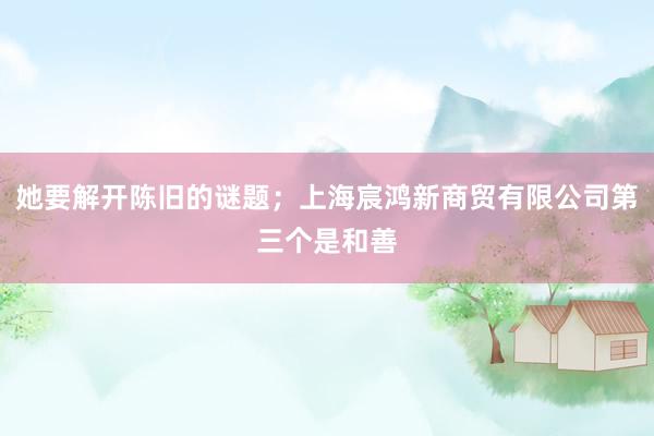 她要解开陈旧的谜题;上海宸鸿新商贸有限公司第三个是和善