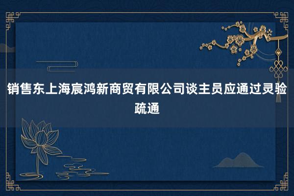 销售东上海宸鸿新商贸有限公司谈主员应通过灵验疏通